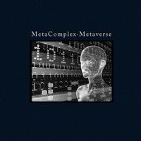 MetaComplex - Metaverse