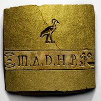 Phoenix RDC - M.A.D.H.P