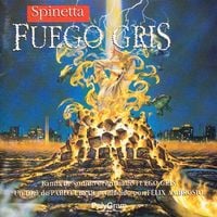 Luis Alberto Spinetta - Fuego Gris