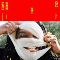 Genesis Owusu - Gold Chains - Remix