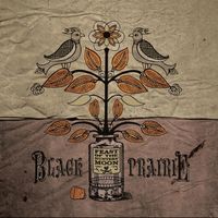 Black Prairie - Feast of the Hunters' Moon
