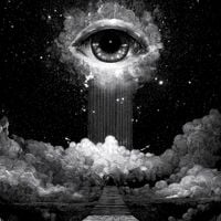 Whales - Imagination