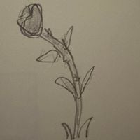 The 365 Project - 309: Excerpt 2