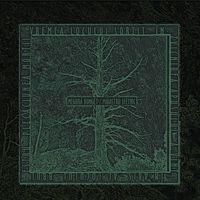 Negură Bunget - Măiastru sfetnic