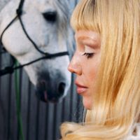 Sam Quealy - Love Lasso