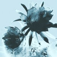 그리즐리 [Grizzly] - Flower Shop4