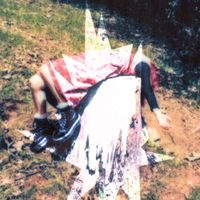 dacelynn - nine lives