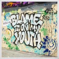blink-182 - Blame It On My Youth