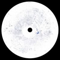 Infant - Residual Music