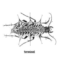 Stitched - Terminal