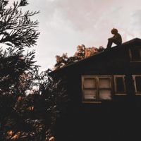 Foreign Forest - In The Woods
