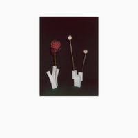 F&eacute;licia Atkinson - The Flower and the Vessel