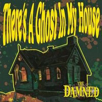 The Damned - There's A Ghost In My House