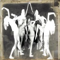 Orvokki - Malus
