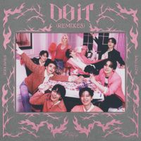 Stray Kids - Do It (Remixes)