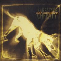 Karpatské chrbáty - Canis Carpathicus