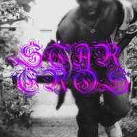 DMS - STAR.EROS