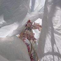 FAKETHIAS - Torn/Enhanced