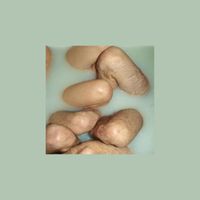 cutouts - Loosies