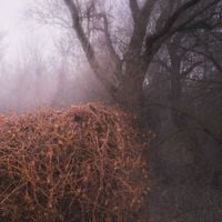 The Devil's Trade - Nincs Szennyezetlen Sz&eacute;p