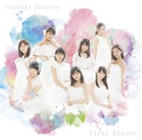 Tsubaki Factory - first bloom