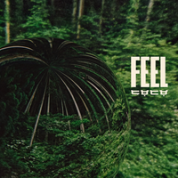 Hikes - Feel