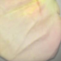 Various Artists - cm006