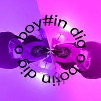 ninexteen - indigo boy