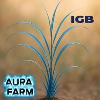 IGB - Aura Farm
