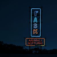 Fast Animals And Slow Kids - Animali Notturni