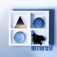 The Heck - liminal