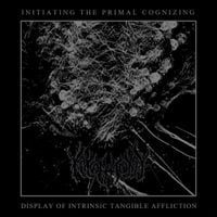 Kakothanasy - Initiating The Primal Cognizing Display of Intrinsic Tangible Affliction