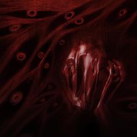 Gates of Deception - Misery