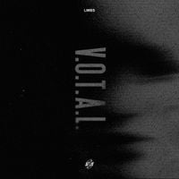 LIMBS - Votal