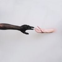 LIMBS - Admission