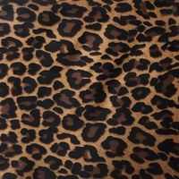stacculaa - Leopard