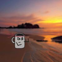 Hot Toddy Karate - Coffee