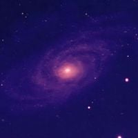 Etienne - Galactical.