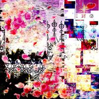 Isabelle Landingham - Cranial Acupuncture (Streets Paved White and Gold)