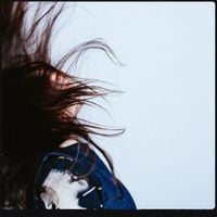 Lime Garden - Maybe Not Tonight
