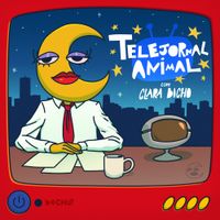 clara bicho - Telejornal Animal