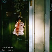 Dearly Somber - Dearly Somber / Harvey Waters