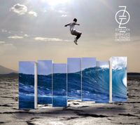Shing02 - Zone Of Zen