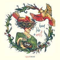 Sparkbird - Head Like A Nest