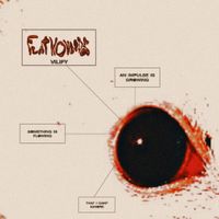 Flatwounds - Vilify