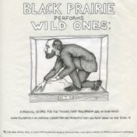 Black Prairie - Wild Ones