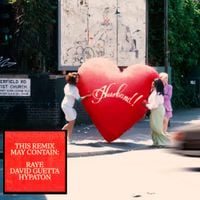 RAYE - WHERE IS MY HUSBAND! (Remix)