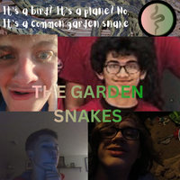 The Garden Snakes - It's A Bird? It's A Plane? No, It's A Common Garden Snake