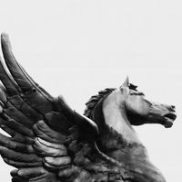 Above The Hood - PEGASUS