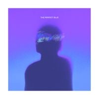 TOBi - The Perfect Blue